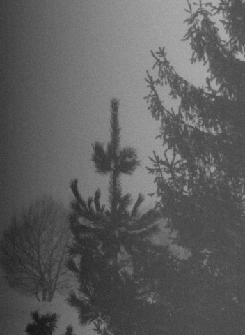 Vintlechkeit : Evig og Mork Vinter...